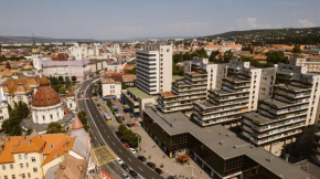 Amazing view apartament Targu Mures